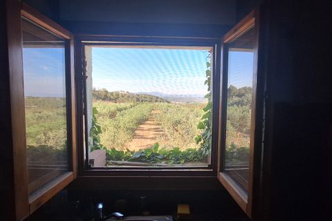 Finca i Rasquera, Tarragona, Rasquera - € 168.000 | Ref: CC799 - foto 14